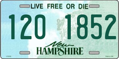 NH license plate 1201852
