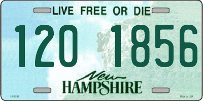 NH license plate 1201856