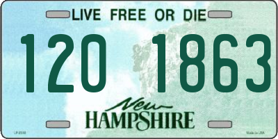 NH license plate 1201863