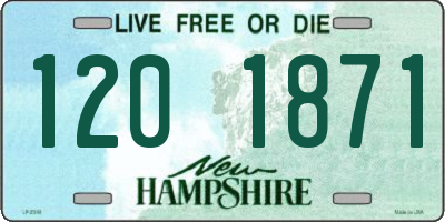 NH license plate 1201871