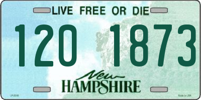 NH license plate 1201873
