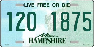 NH license plate 1201875