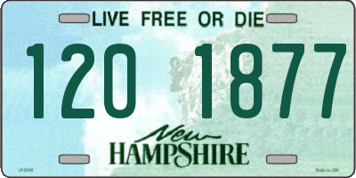 NH license plate 1201877