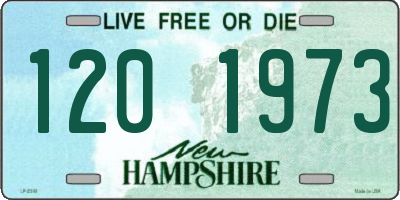 NH license plate 1201973