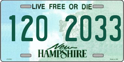 NH license plate 1202033