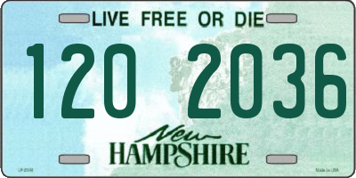 NH license plate 1202036