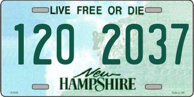 NH license plate 1202037
