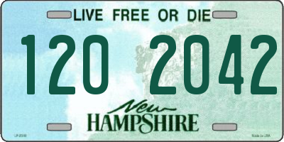 NH license plate 1202042