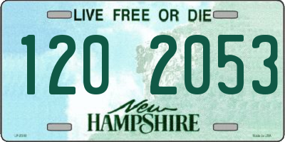 NH license plate 1202053