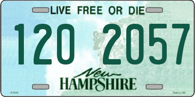 NH license plate 1202057