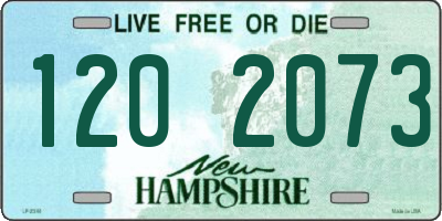 NH license plate 1202073