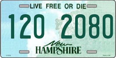 NH license plate 1202080