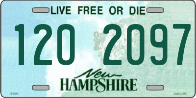 NH license plate 1202097