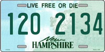 NH license plate 1202134