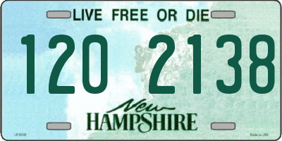 NH license plate 1202138