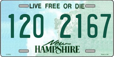 NH license plate 1202167