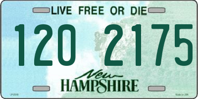NH license plate 1202175