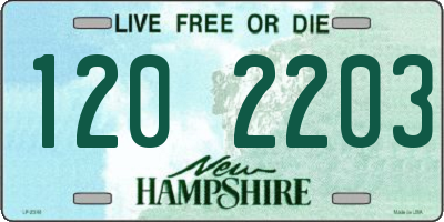 NH license plate 1202203