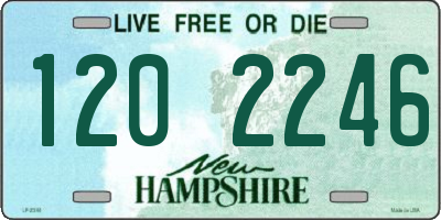 NH license plate 1202246