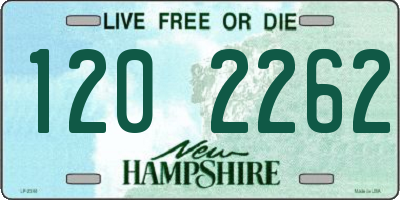 NH license plate 1202262