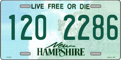 NH license plate 1202286