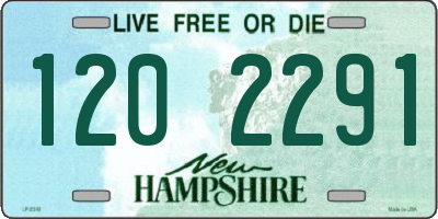NH license plate 1202291
