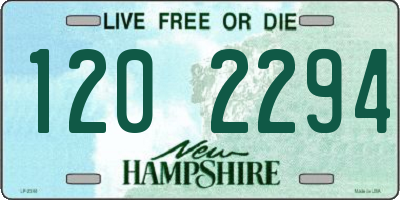 NH license plate 1202294