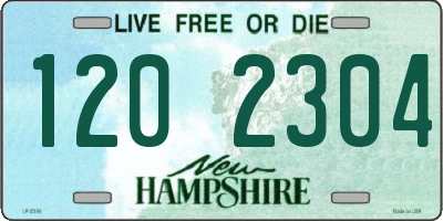 NH license plate 1202304