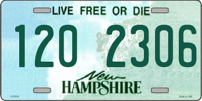 NH license plate 1202306