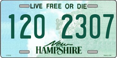 NH license plate 1202307