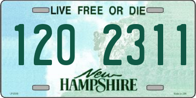 NH license plate 1202311