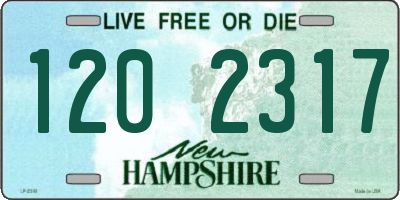 NH license plate 1202317