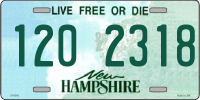 NH license plate 1202318