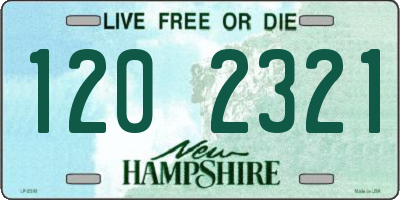 NH license plate 1202321