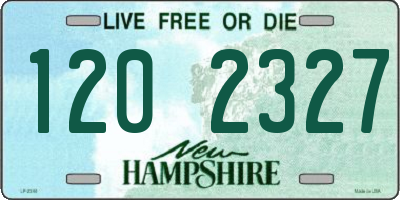 NH license plate 1202327