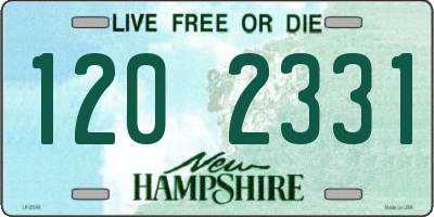 NH license plate 1202331