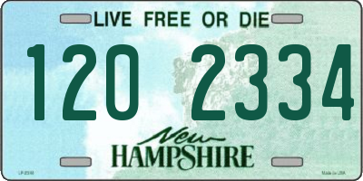 NH license plate 1202334