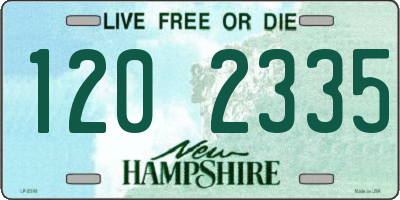 NH license plate 1202335