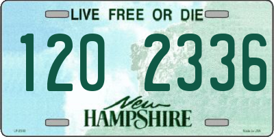 NH license plate 1202336
