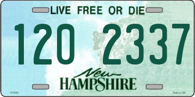 NH license plate 1202337