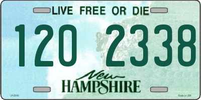 NH license plate 1202338