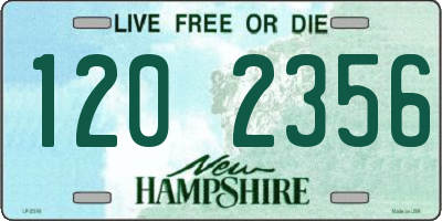 NH license plate 1202356