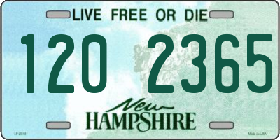 NH license plate 1202365