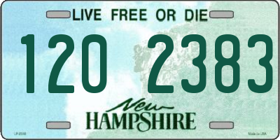 NH license plate 1202383