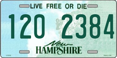 NH license plate 1202384