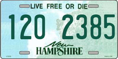 NH license plate 1202385