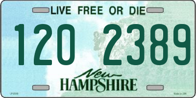 NH license plate 1202389