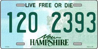 NH license plate 1202393