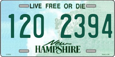 NH license plate 1202394