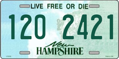 NH license plate 1202421